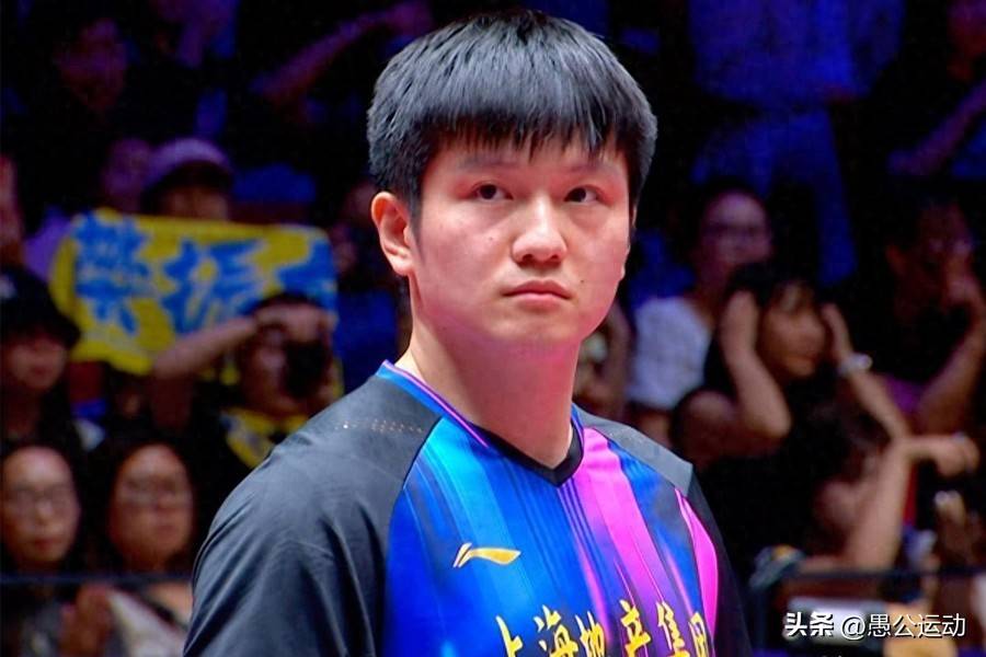 惊喜不断！拳击明星樊振东强势回归赛场的简单介绍