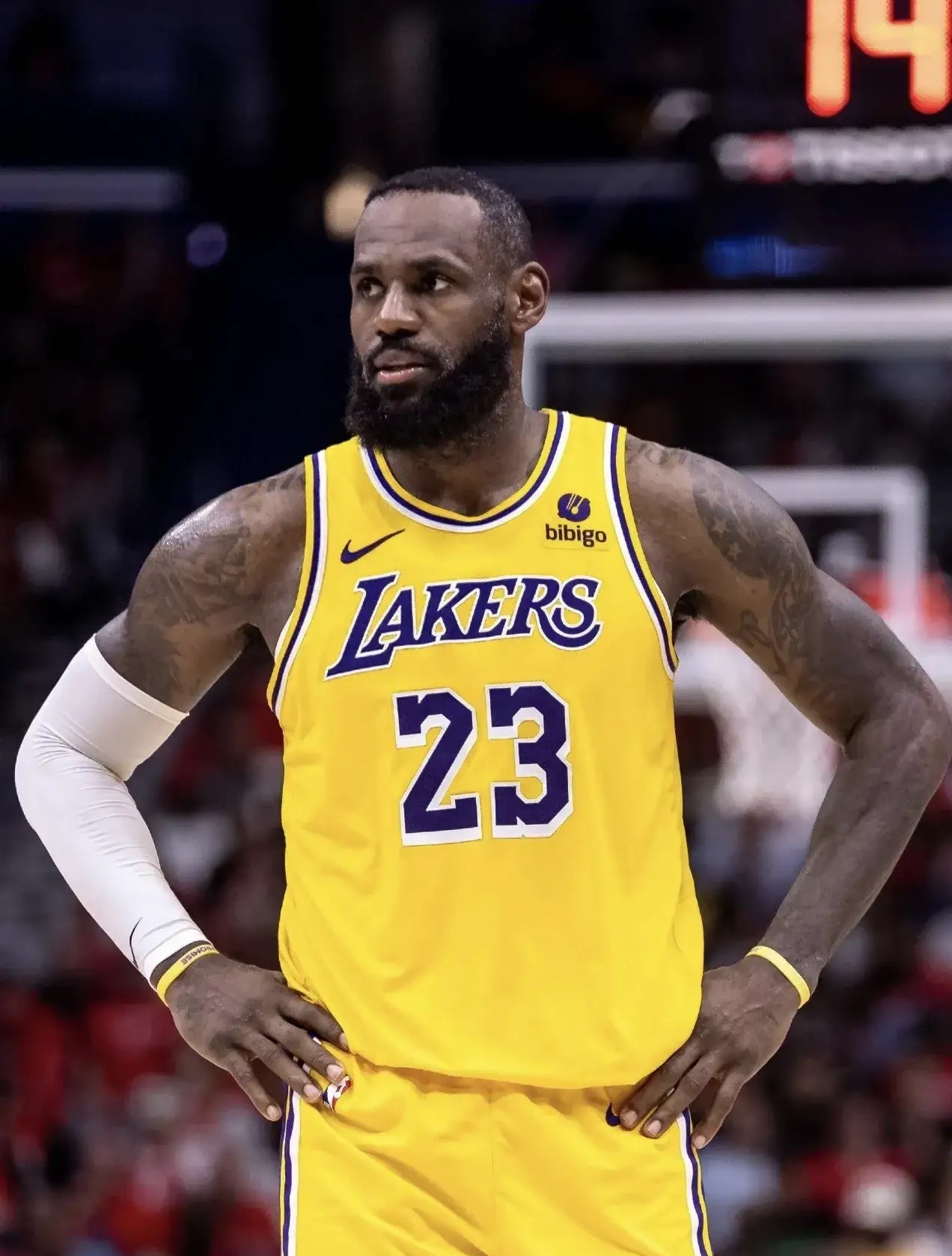 詹姆斯刷新里程碑，国际米兰四强战力克辽宁男篮，晋级概率达95％的简单介绍